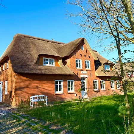 Det Danske Hus - Oberdeck Dunsum